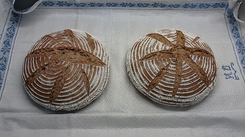 Korgjäst rågbröd, rågpålle